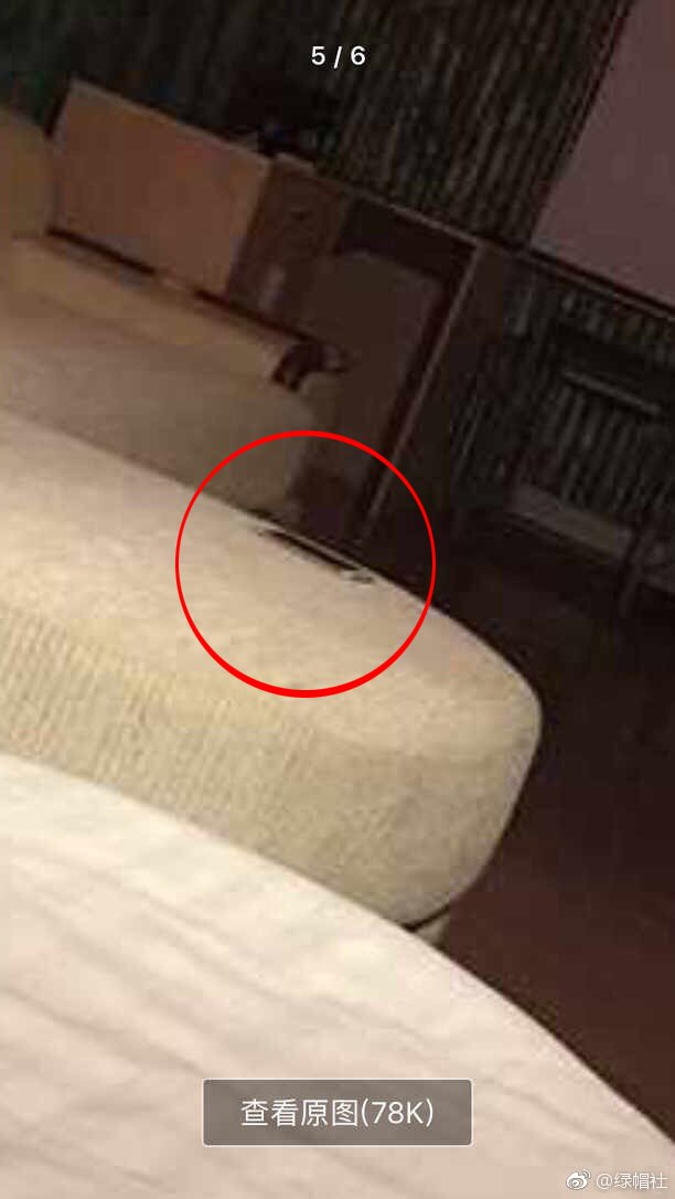 女友出遊甜發「房間照」網友眼尖發現超大亮點：「愛是一道光如此美妙～」