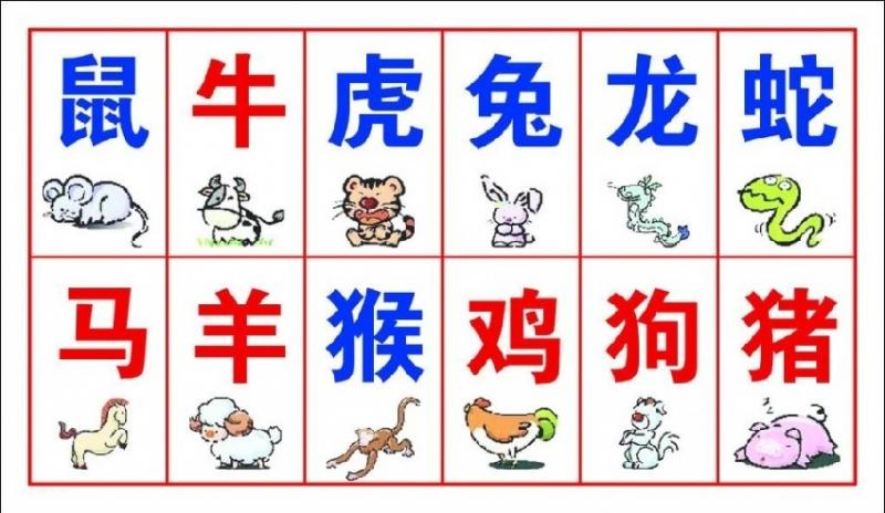 史上最全」十二生肖婚配表「 來看你的屬相配什麼最好！ 