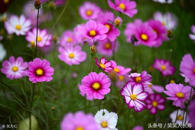 算命的說，再熬3天這6大生肖，大獎中不停，誰也惹不起，將來都是有錢上等人！ - 天天好運