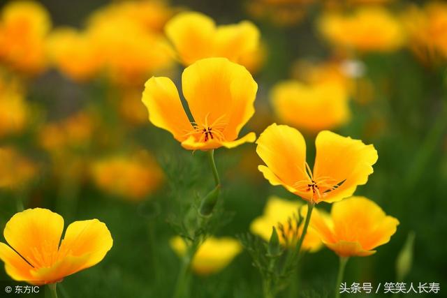 算命的說，再熬3天這6大生肖，大獎中不停，誰也惹不起，將來都是有錢上等人！ - 天天好運