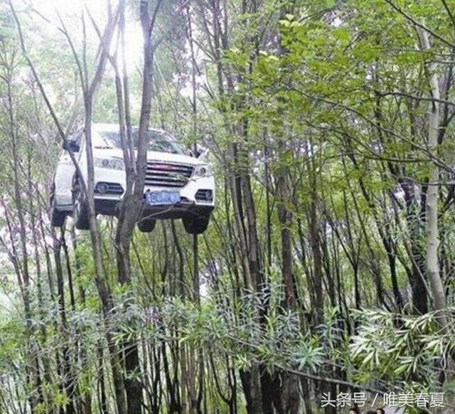 男子停車去買水，回來後看到車上的場景，報案後警察都傻了！