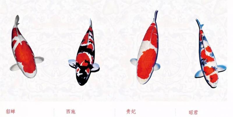 「樹王」傳奇!!!!