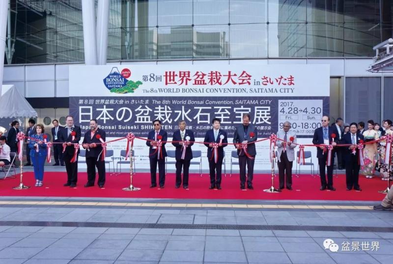 「樹王」傳奇!!!!