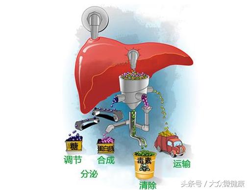 肝病專家：身體出現這5個症狀，說明肝臟真的出現病變了