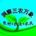 木菠蘿嫁接技術怎樣做，成活率高？