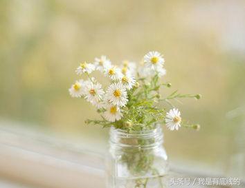 順其自然，才能活得瀟灑！