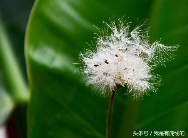 順其自然，才能活得瀟灑！