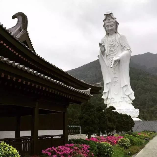 李嘉誠15億建佛寺，月中（4月15日）開放，內部防彈設備曝光 
