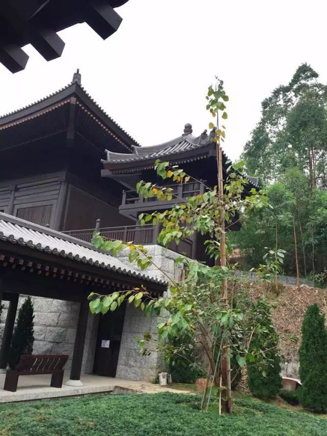 李嘉誠15億建佛寺，月中（4月15日）開放，內部防彈設備曝光 