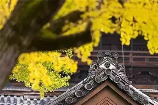 只要口中常念這「8字」，必定運勢翻身，財富像雨水般從天而將，一生富貴受用