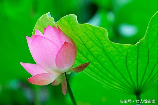 人不管幾歲，必須記住的10句話 