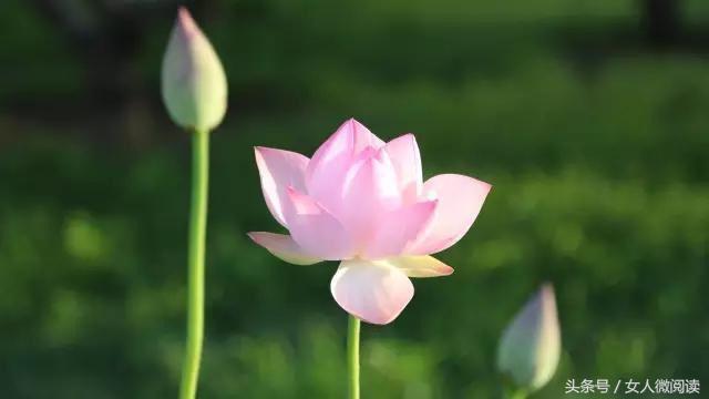 人不管幾歲，必須記住的10句話 