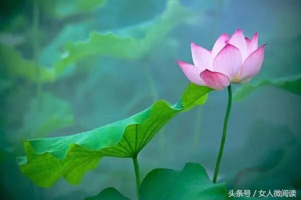 人不管幾歲，必須記住的10句話 