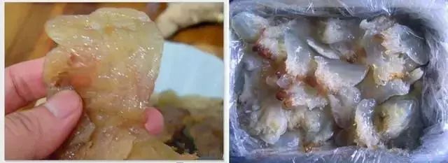 老漁民教你挑海鮮的方法，總共就這麼幾招！