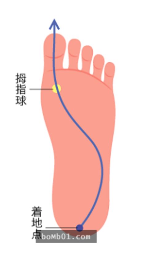 朋友以為我跑去抽脂，其實我只是學會這三招就讓屁屁整個瘦下來！
