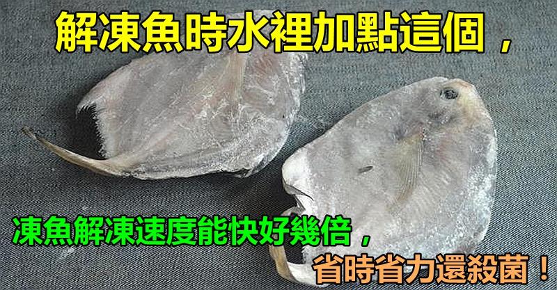 解凍魚時水裡加點「這個」，凍魚解凍速度能快好幾倍，省時省力還殺菌！ 