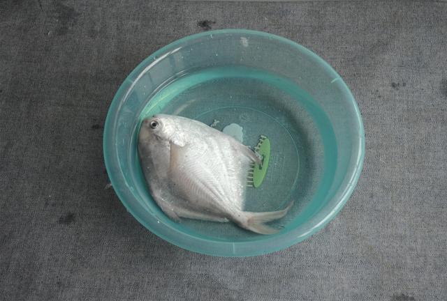 解凍魚時水裡加點「這個」，凍魚解凍速度能快好幾倍，省時省力還殺菌！ 