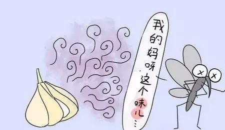 蚊子為什麼總是繞開「娘」，而去攻擊「娃」！