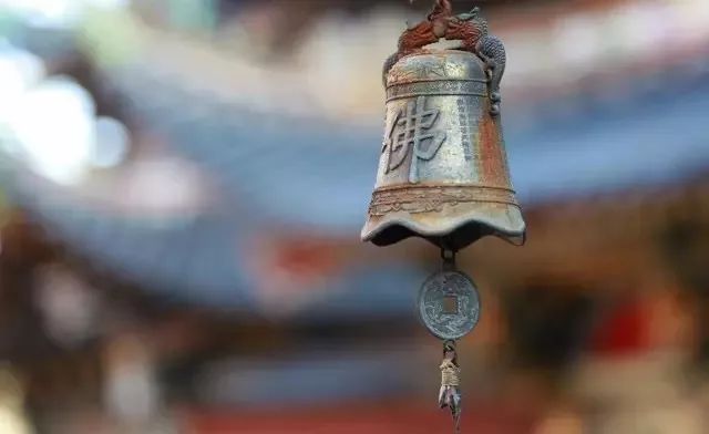 頭上三尺有神靈的驚人真相：天網恢恢，疏而不漏
