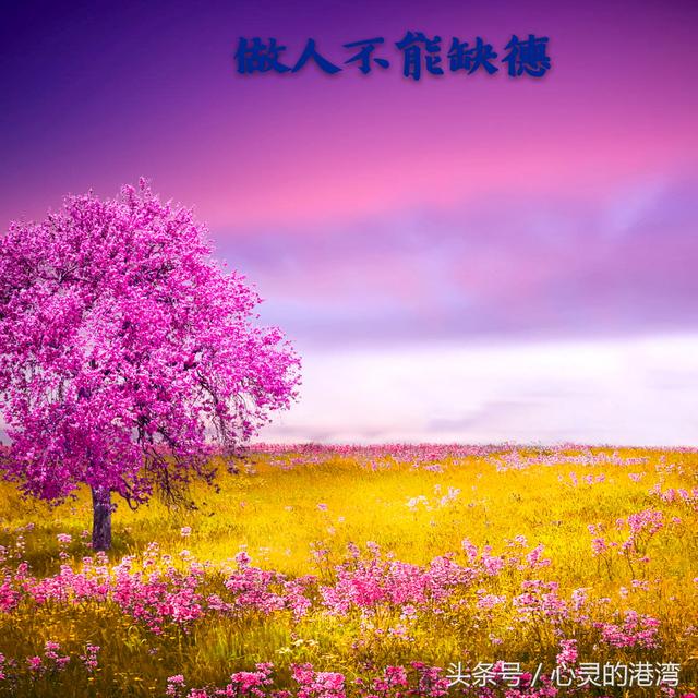 缺錢可以賺，但缺德必定完蛋！（句句精闢）