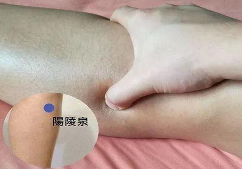 強健膝關節，從這幾個動作開始！