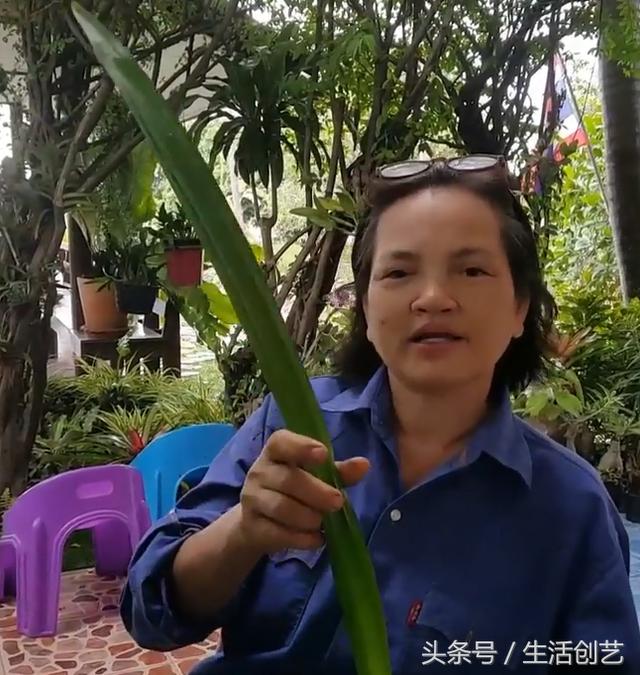 生活創藝: 農村大姐用葉子快速編出一束手工玫瑰花, 你未必見過!