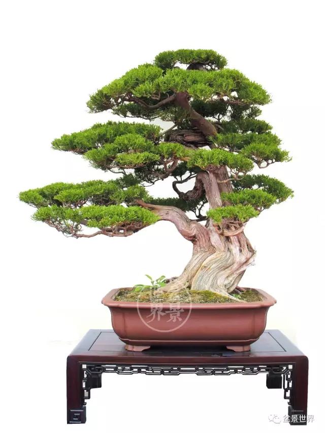 梁玉慶大師作品大賞 ~~