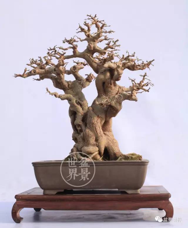 梁玉慶大師作品大賞 ~~