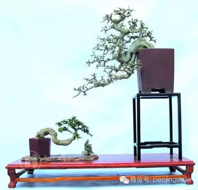梁玉慶大師作品大賞 ~~