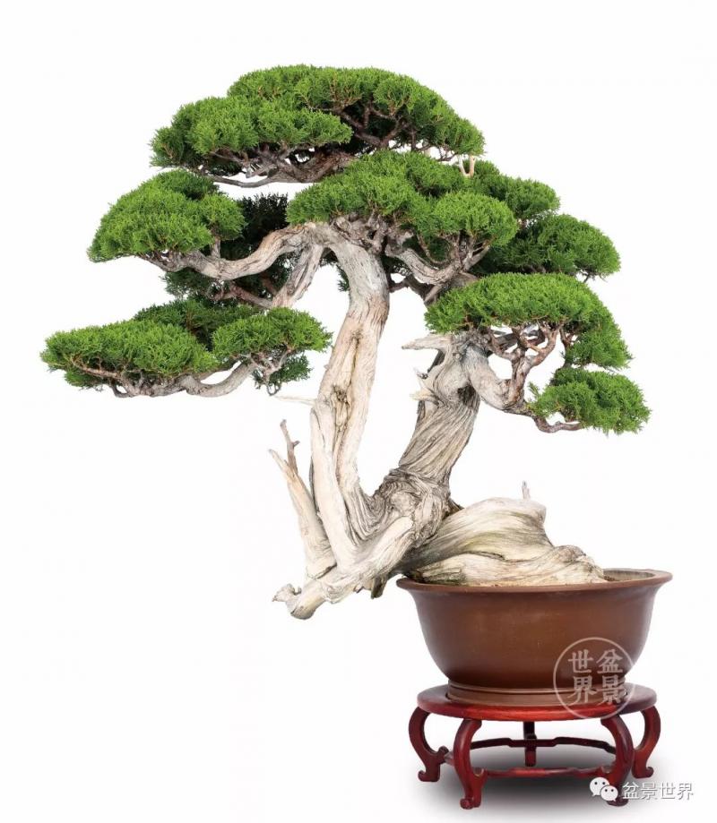 梁玉慶大師作品大賞 ~~