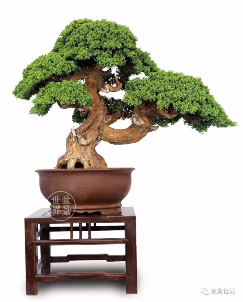 梁玉慶大師作品大賞 ~~