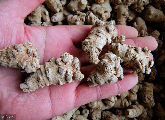 被稱為天然「血管支架」，多吃這5種食物通血管、防血栓！