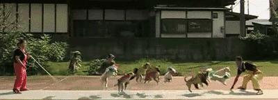 快速見效的減肥瘦腰的方法