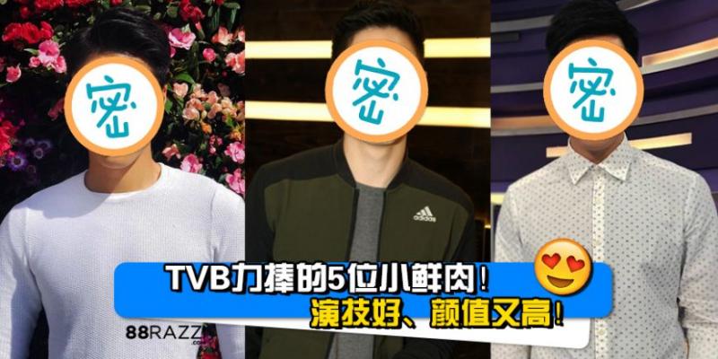 【演技好、顏值高！】TVB無線力捧的5位「小鮮肉」！你最看好哪一位呢？