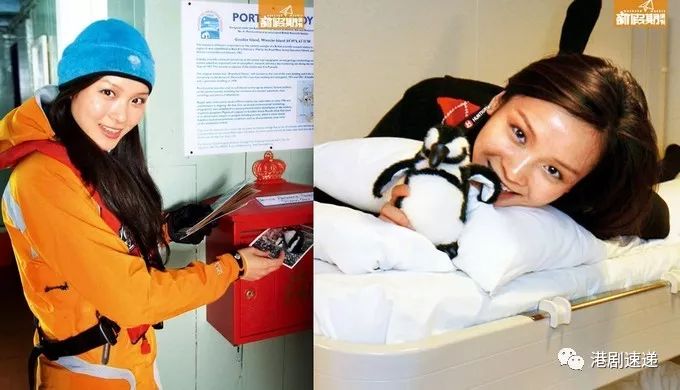 TVB當家花旦入行前職業大揭秘！李佳芯去過南極，她竟然做過空姐……