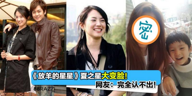 【整形過度？！】《放羊的星星》女主角劉荷娜近照曝光大變臉！網友：這不是我認識的「夏之星」！