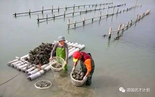 她出身貧困，14歲收入百萬卻「一毛都沒花到自己身上」，20歲被寫進各大教科書，成為台灣十大慈善家！ 