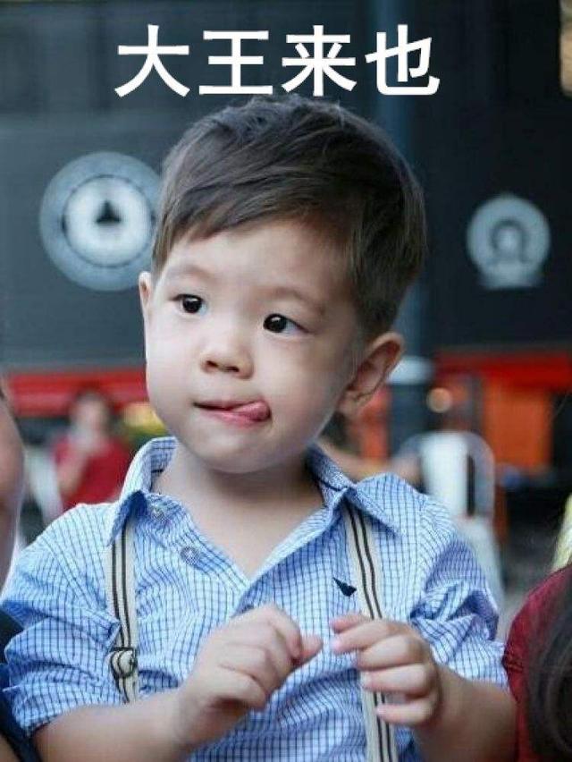 嗯哼腦迴路hin奇特，給寵物起的名字都太好笑了！