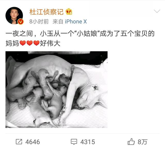 嗯哼腦迴路hin奇特，給寵物起的名字都太好笑了！