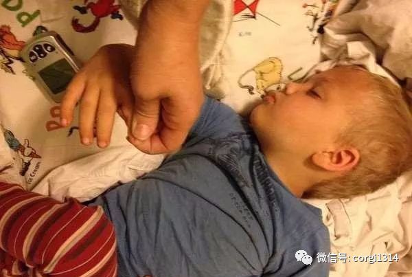 拉布拉多半夜一直犬吠，叫醒熟睡中的媽媽，反常行為拯救了小主人