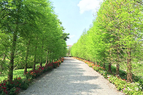 兼六園美景打卡必拍 全台四大日式庭院景點 