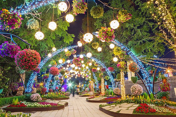 LED花海燈光庭園好夢幻！韓國最大國際花卉博覽會 