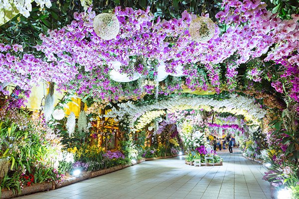 LED花海燈光庭園好夢幻！韓國最大國際花卉博覽會 
