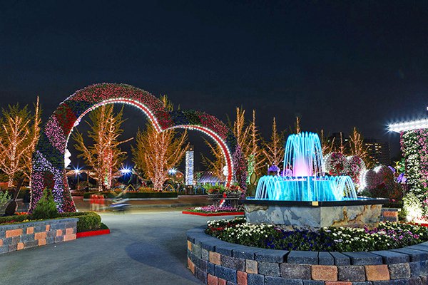 LED花海燈光庭園好夢幻！韓國最大國際花卉博覽會 
