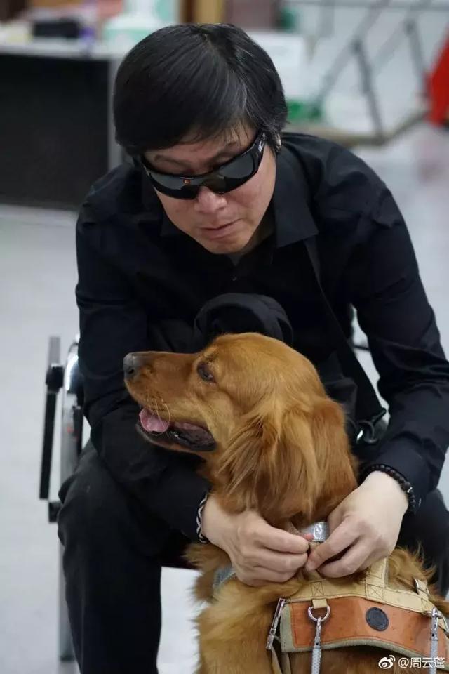 盲人歌手帶導盲犬在上海住酒店遭拒……狗狗的眼神讓人心碎
