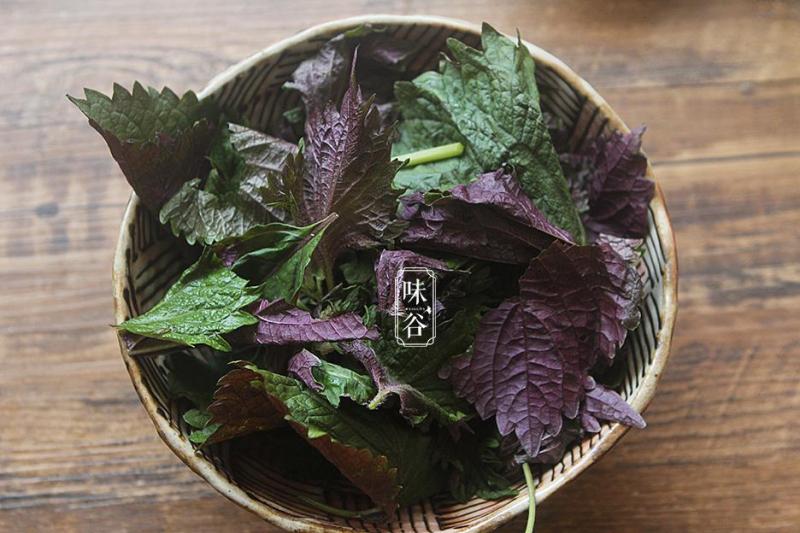 它既是野菜也是中藥材，更是美味調味品，蝦跟它在一起炒才是絕配 