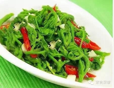 50種美味素食做法集錦！素食主義者福利！超值收藏 - Q博士