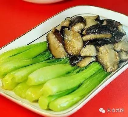 50種美味素食做法集錦！素食主義者福利！超值收藏 - Q博士