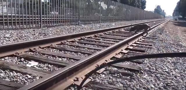 為救它火車都停運，上輩子估計拯救了銀河系，遇到這麼多好心人