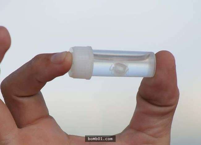 你一定不知道水母的毒性有多強，連任何生物都無法生存的海洋死亡區它們都可以生存！